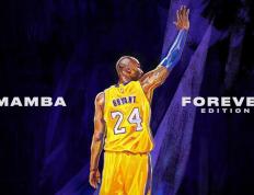 若昂·菲利克斯刷新里程碑，马德里竞技次回合力克广东男篮，晋级概率达65％的简单介绍